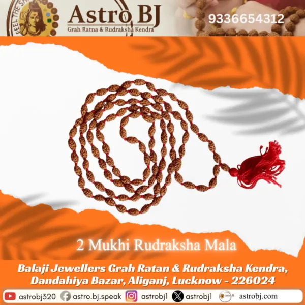 Astrobj_2_Mukhi_Rudraksha_Mala_Vedic_Energised_108_Beads