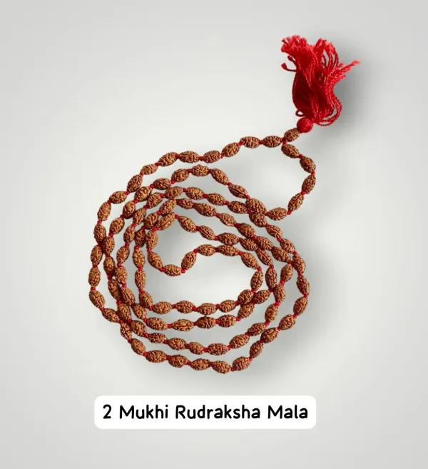 Astrobj_2_Mukhi_Rudraksha_Mala_Vedic_Energised_108_Beads