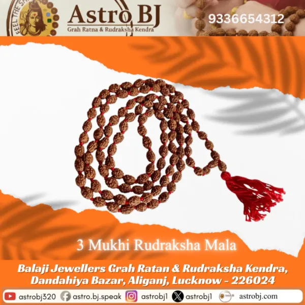 Astrobj_3_Mukhi_Rudraksha_Mala_Vedic_Energised_108_Beads