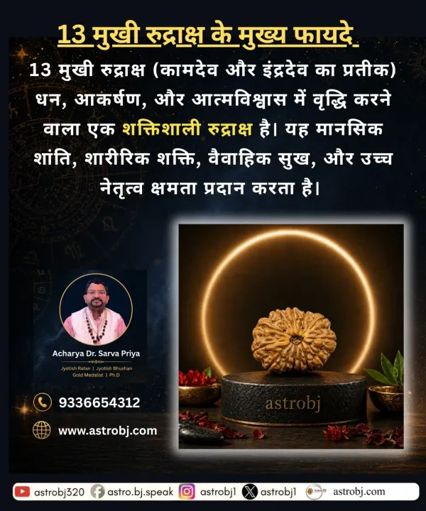 Astrobj_13_Mukhi_Rudraksha_Nepali_Vedic_Energised_Lab_Certified