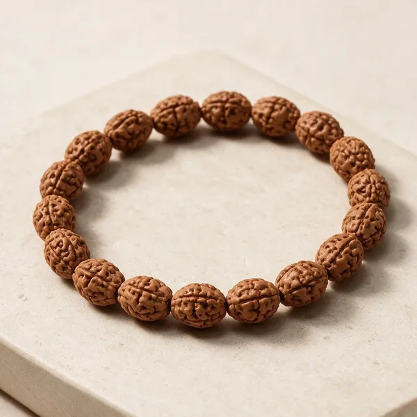 Astrobj_2_Mukhi_Rudraksha_Bracelet_Vedic_Energised