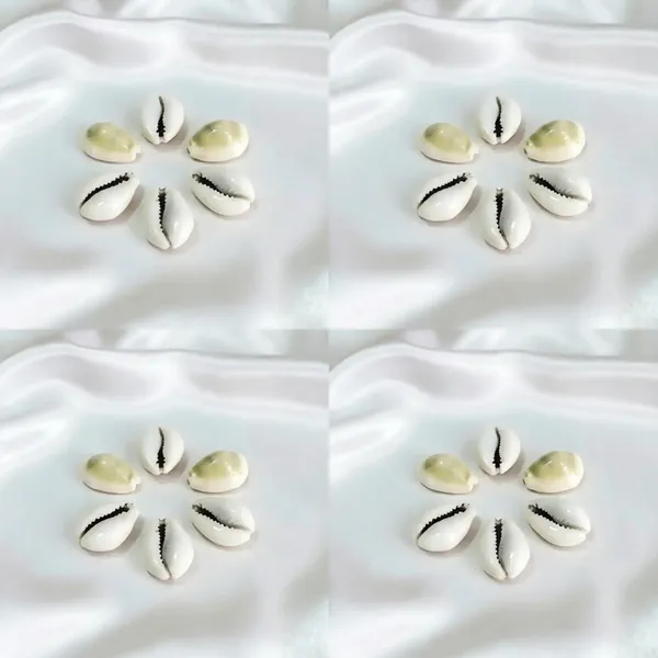 Astrobj_Energized_Cowrie_Shell_Beads_Set_Of_5_-_Pack_of_4