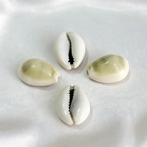 Astrobj_Energized_Cowrie_Shell_Beads_Set_Of_5_-_Pack_of_4