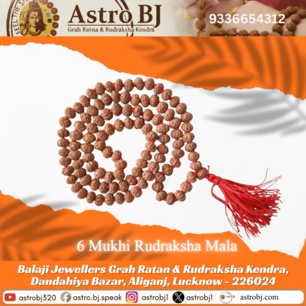 Astrobj_6_Mukhi_Rudraksha_Mala_Vedic_Energised_108_Beads