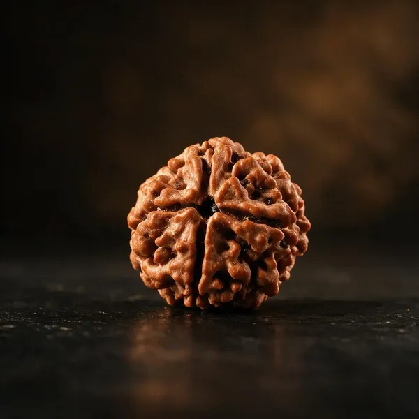 Astrobj_Garbh_Gauri_Rudraksha_Beads
