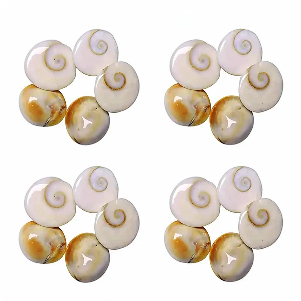 Astrobj_Gomti_Chakra_Energized_Shell_Set_Of_5_-_Pack_of_4