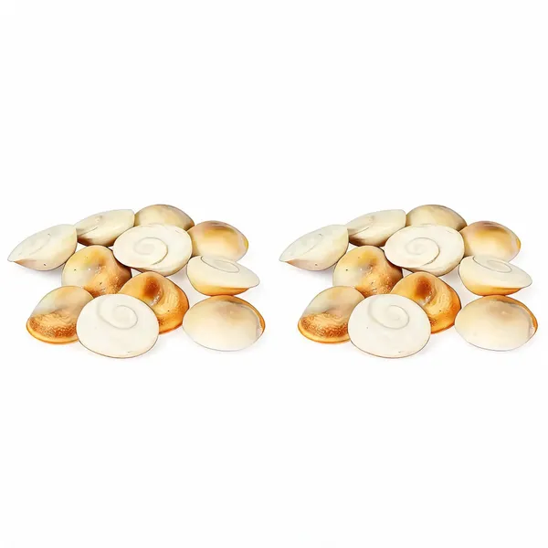 Astrobj_Gomti_Chakra_Energized_Shell_Set_Of_11_-_Pack_of_2