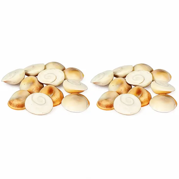 Astrobj_Gomti_Chakra_Energized_Shell_Set_Of_11_-_Pack_of_2