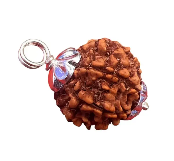 Astrobj_4_Mukhi_Rudraksha_Silver_Cap_Red_Cord_Pendant