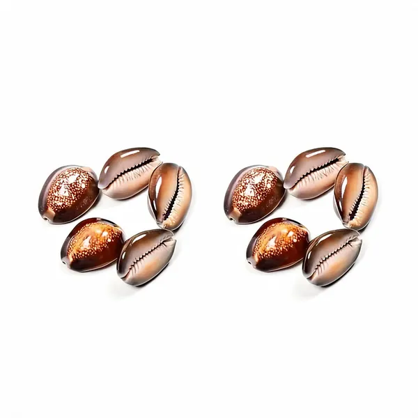 Astrobj_Brown_Cowrie_Shells_Set_Of_5_-_Pack_of_2