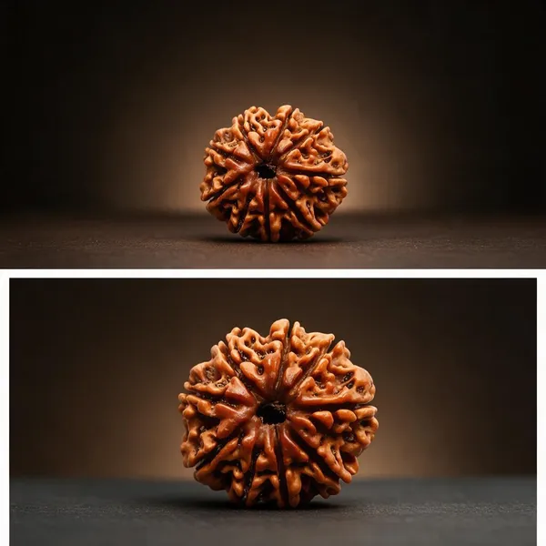 Astrobj_9_Mukhi_Nepali_Rudraksha_Vedic_Energized_Bead