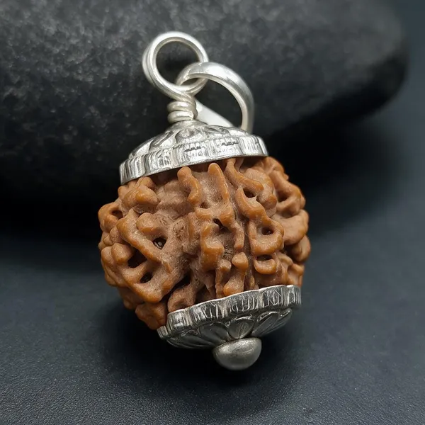Astrobj_7_Mukhi_Rudraksha_Silver_Cap_Pendant