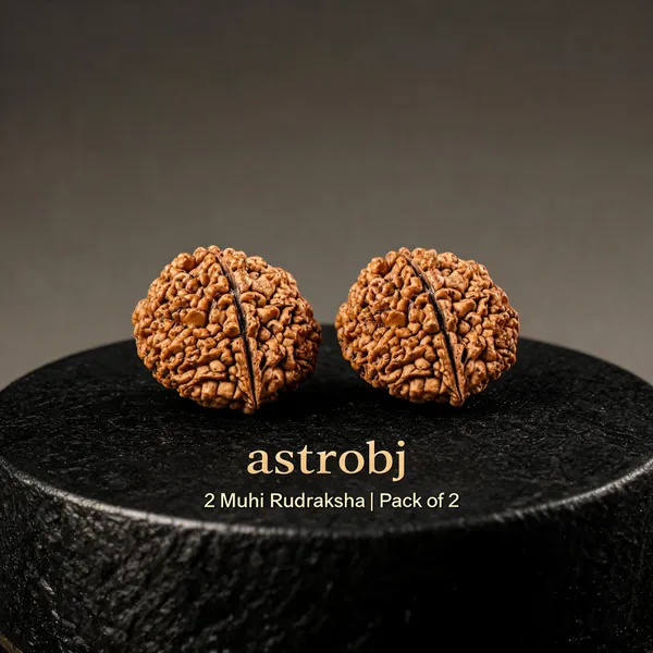 Astrobj_2_Mukhi_Nepali_Rudraksha_Lab_Certified_-_Pack_of_2