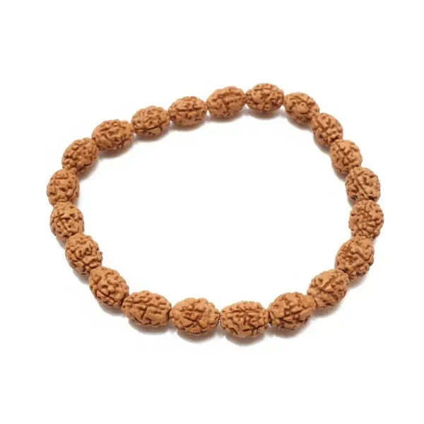 Astrobj_2_Mukhi_Rudraksha_Bracelet_Vedic_Energised