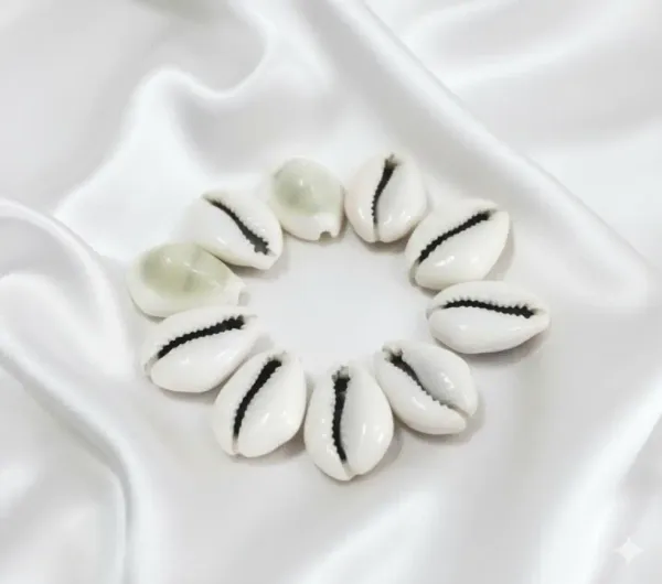 Astrobj_Energized_Cowrie_Shell_Beads_Set_Of_11_-_Pack_of_2