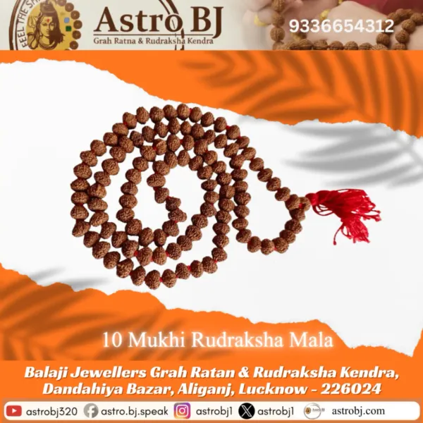 Astrobj_10_Mukhi_Rudraksha_Mala_Vedic_Energised_108_Beads