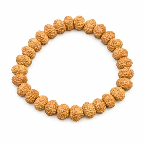 Astrobj_7_Mukhi_Rudraksha_Bracelet_Vedic_Energised