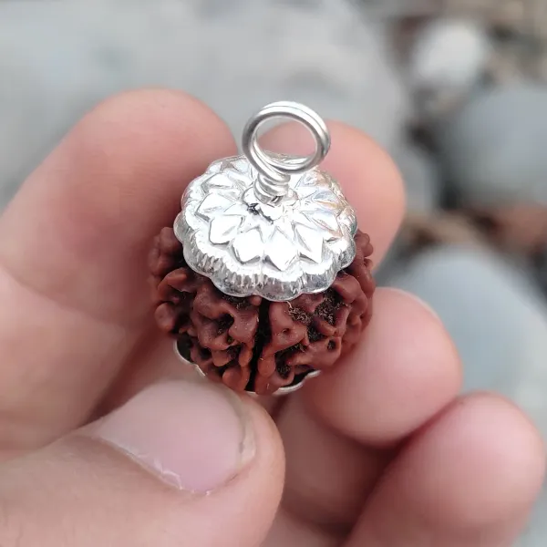 Astrobj_3_Mukhi_Rudraksha_Pendant_With_Silver_Cap
