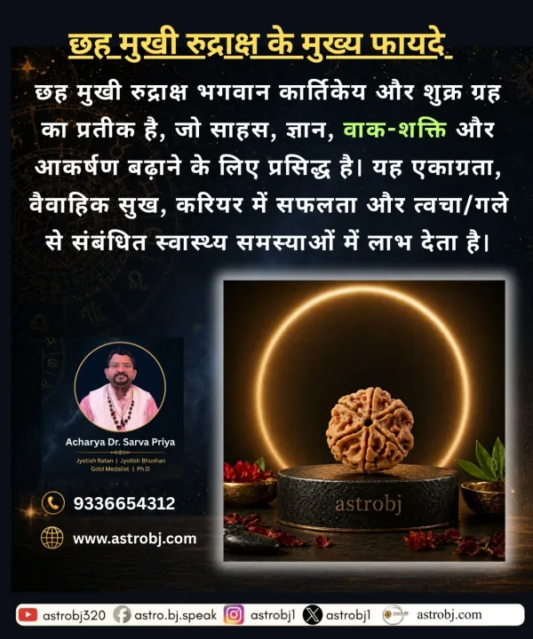 Astrobj_6_Mukhi_Nepali_Rudraksha_Lab_Certified_Bead