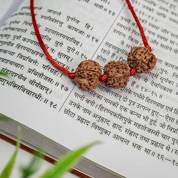 Astrobj_Rudraksha_Saraswati_Band_Kavach_On_Red_Cord