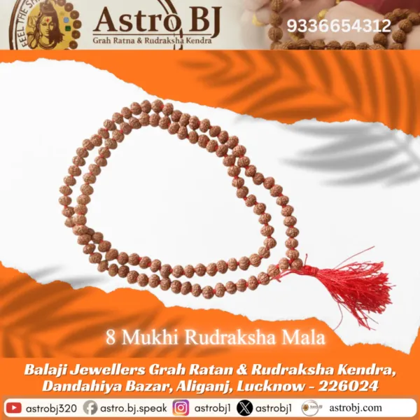 Astrobj_8_Mukhi_Rudraksha_Mala_Vedic_Energised_108_Beads
