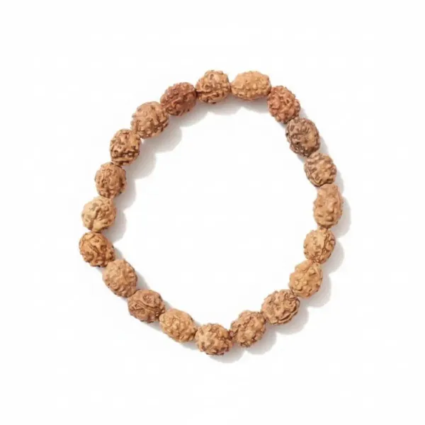 Astrobj_3_Mukhi_Rudraksha_Bracelet_Vedic_Energised