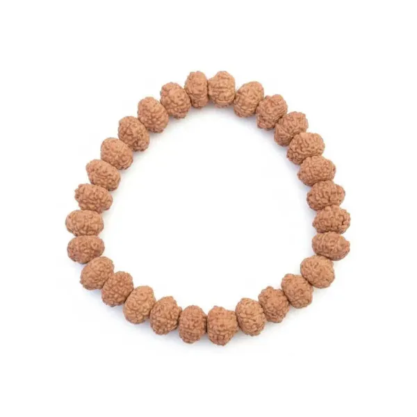 Astrobj_10_Mukhi_Rudraksha_Bracelet_Vedic_Energised