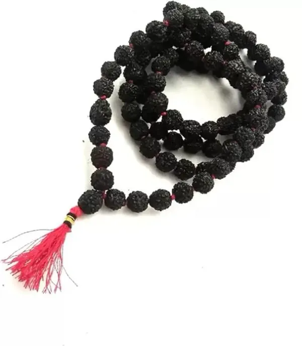 Astrobj_5_Mukhi_Black_Rudraksha_Mala_108_Beads
