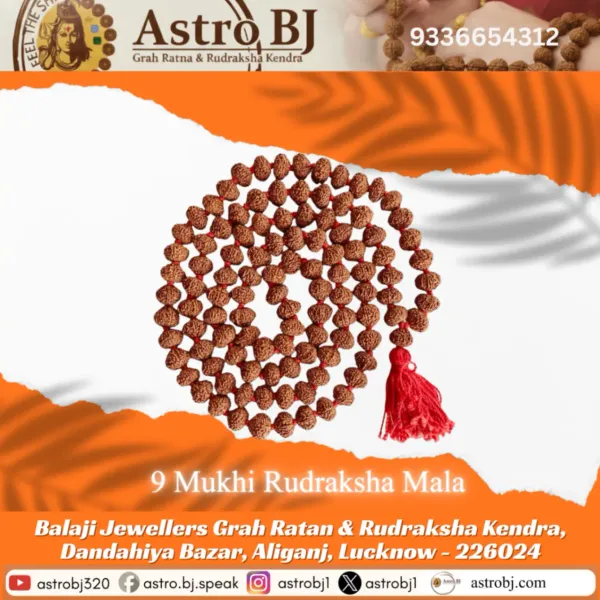 Astrobj_9_Mukhi_Rudraksha_Mala_Vedic_Energised_108_Beads