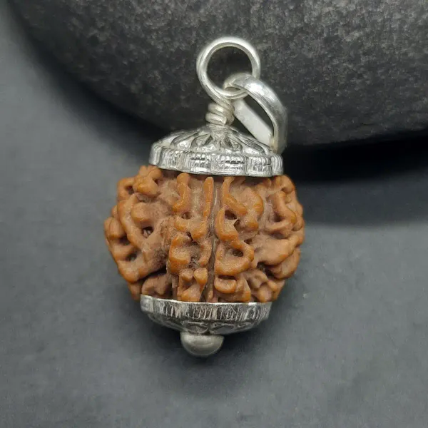 Astrobj_7_Mukhi_Rudraksha_Silver_Cap_Pendant