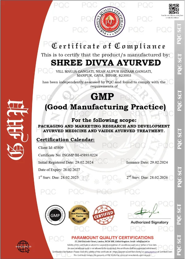Shree_Divya_Ayurveda_Shashishekhar_Rasa_Anemia_Relief