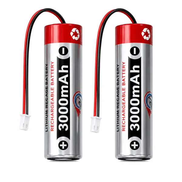 3000mAh_Lithium_Rechargeable_Battery__2_Pieces