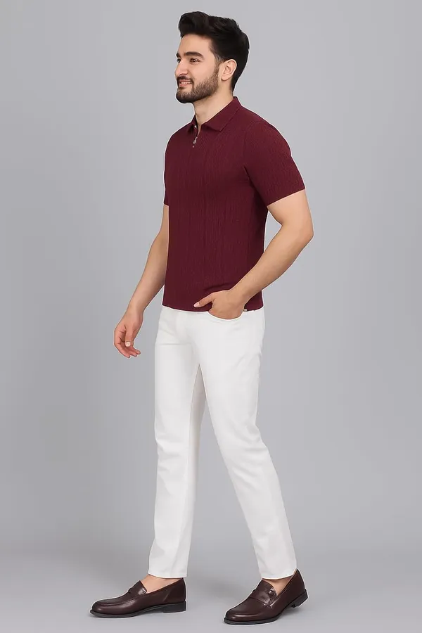 Men_S_Polo_Collar_Half_Sleeve_Cotton_Blend_T_Shirt_With_Front_Zip