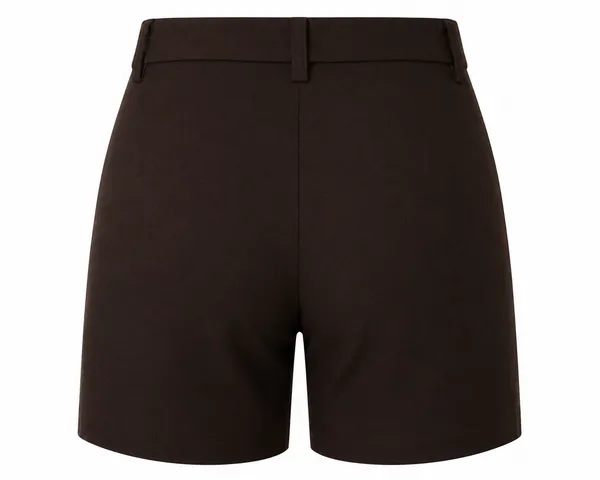 Brown_Pure_Linen_Fitted_Shorts_For_Women
