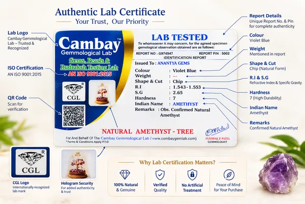 Amethyst_Dome_Wish_Tree_