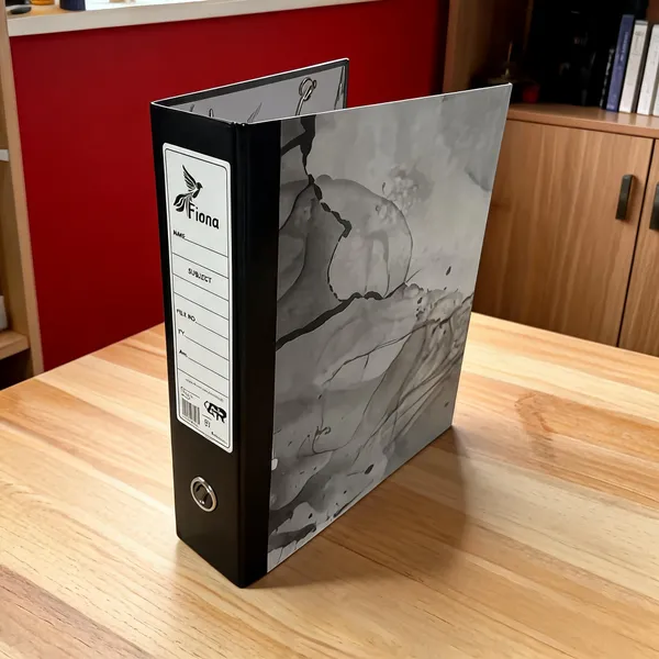 B1_Diamond_Box_File_Pack_Of_4_Pcs_Grey
