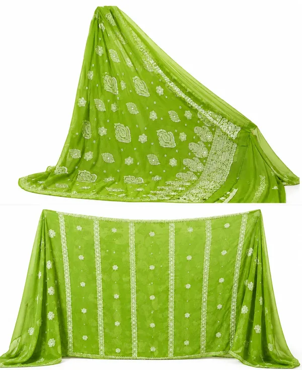 Elegant_Light_Green_Chikankari_Saree