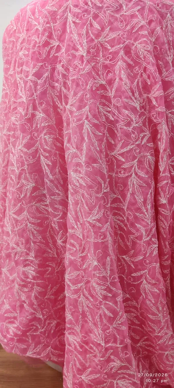 Elegant_Pink_Chikankari_Saree___