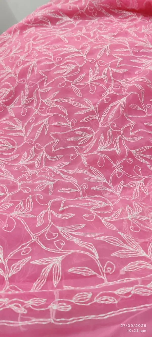 Elegant_Pink_Chikankari_Saree___