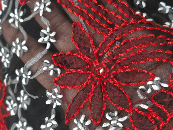 Midnight_Noir_Embroidered_Chikankari_Saree