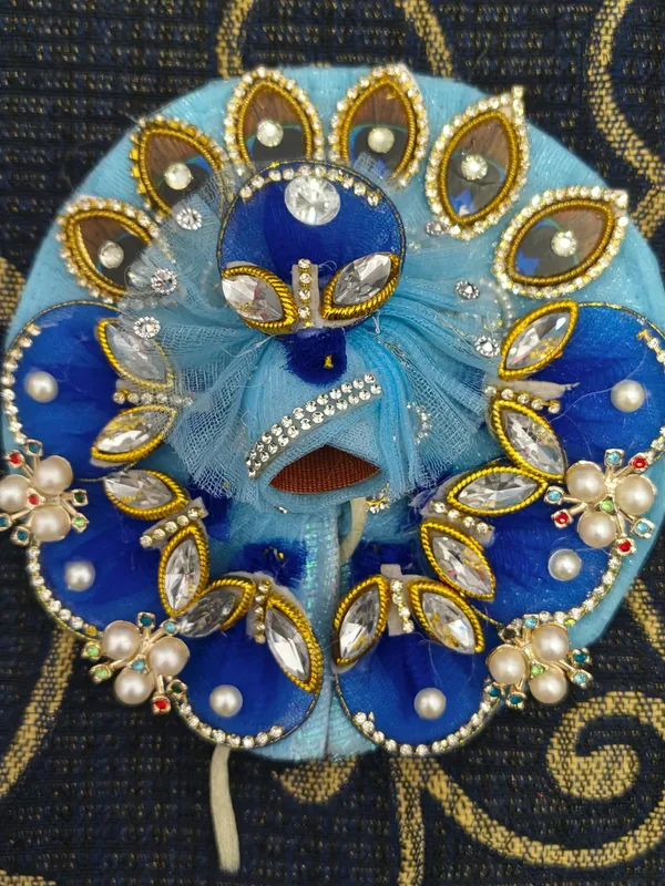 Blue_Net_Embellished_Hair_Accessory_Set_for_Women