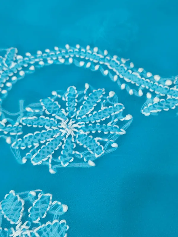 Sky_Blue_Hand_Embroidered_Chikankari_Saree
