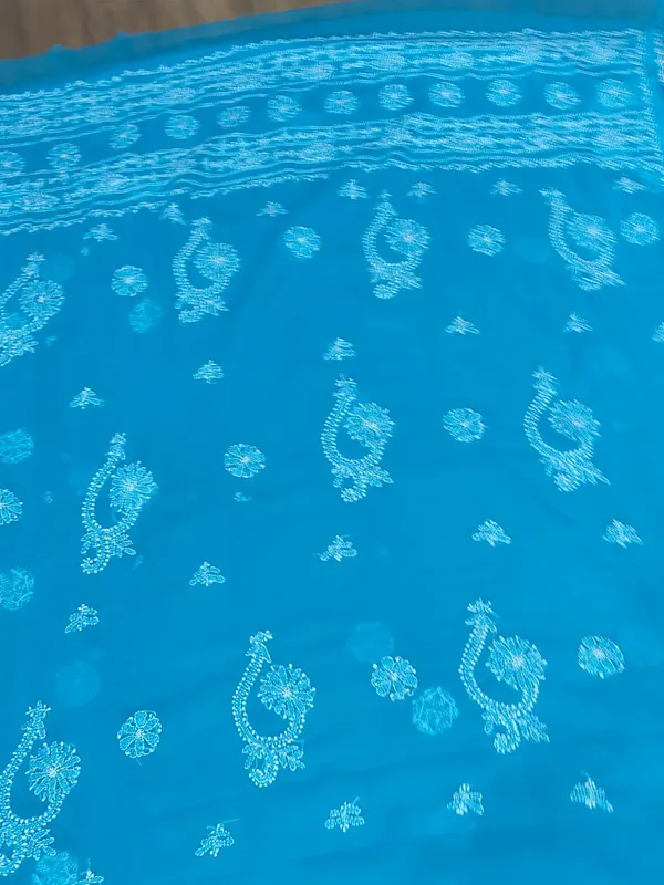 Sky_Blue_Hand_Embroidered_Chikankari_Saree