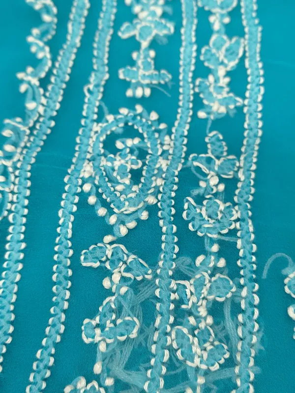 Sky_Blue_Hand_Embroidered_Chikankari_Saree