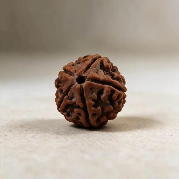 Nepali_5_Mukhi_Rudraksha_Spiritual_Bead