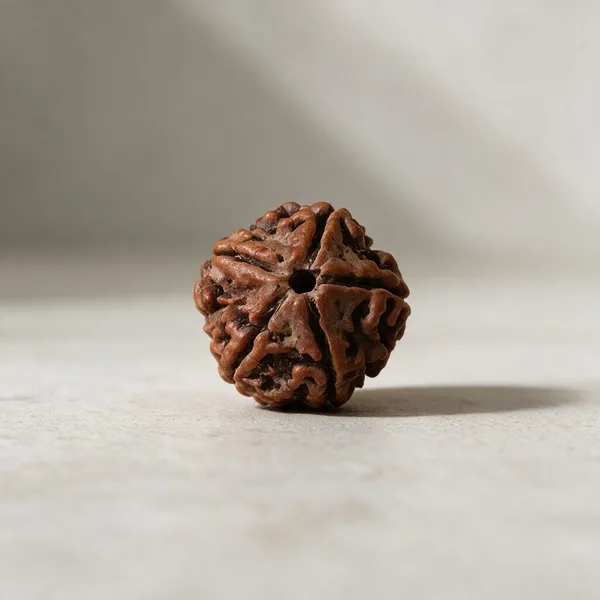 Nepali_5_Mukhi_Rudraksha_Spiritual_Bead