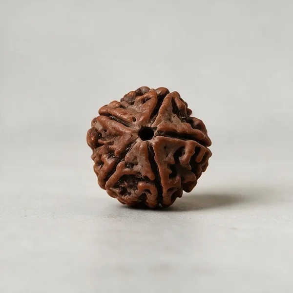 Nepali_5_Mukhi_Rudraksha_Spiritual_Bead