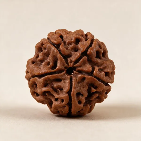 5_Mukhi_Rudraksha_Spiritual_Bead
