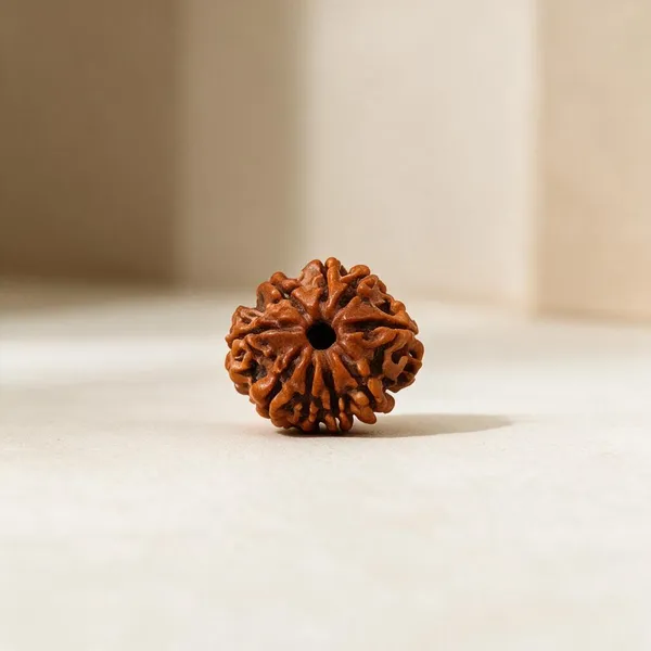 Nepali_Rudraksha_12_Mukhi_Spiritual_Bead