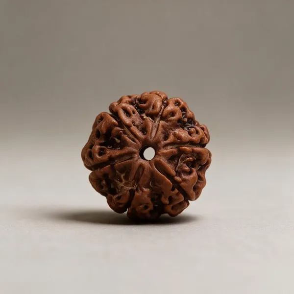 Nepali_7_Mukhi_Rudraksha_Spiritual_Bead